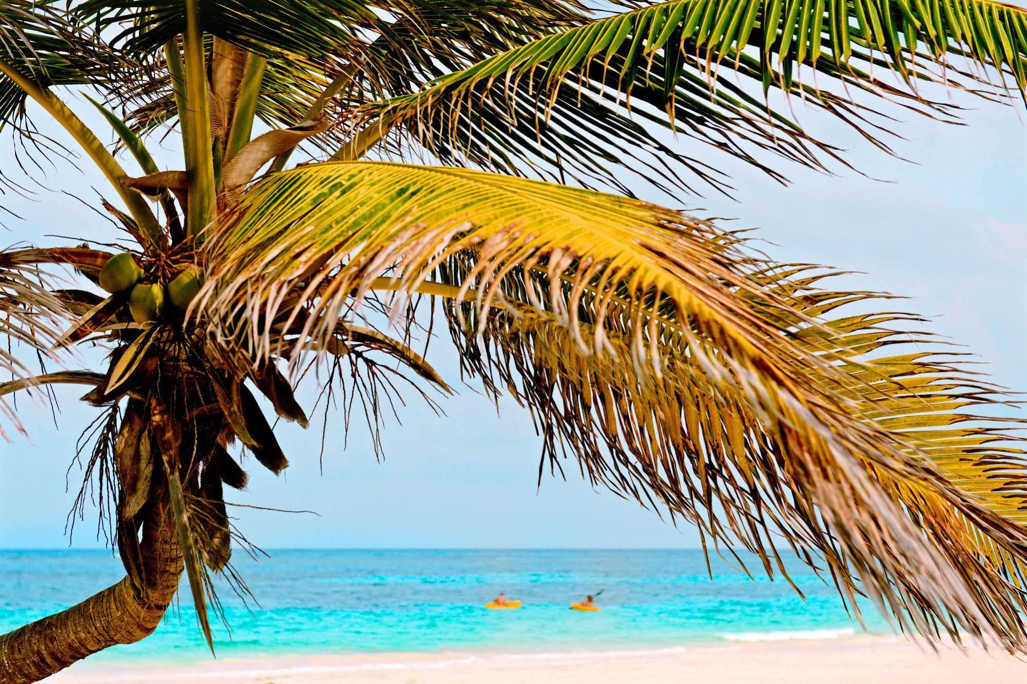 Casa Chable Hotel Punta Allen Buitenkant foto
